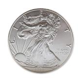 2020 US American .999 Fine Silver Eagle 1 oz Coin