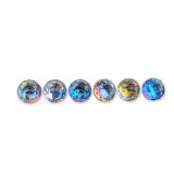6pc D. Swarovski & Co. Crystal Warner's Blue Ribbon Book Paperweights