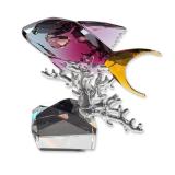 Swarovski Crystal Anthias Fish Figurine
