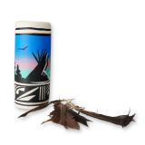 Native American Hand-Painted Feathered Pottery Vase