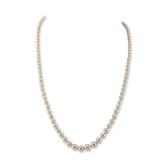 10K White Gold Graduated Cultured Pearl Necklace