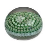 Parabelle Glass 1985 Millefiori Shamrock Paperweight