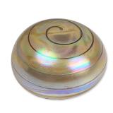 Gary Levy Iridescent Glass Spiral Paperweight