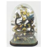 Large Victorian Multi-Specimen Bird Taxidermy Display Under Glass Dome