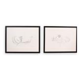 Sydney McGinley Pair of Botanical Tulip Drawings