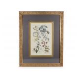 Hand-Colored Botanical Bindweed Engraving