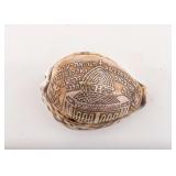 A RARE COWRY SHELL FROM THE TEMPLE MOUNT, 1927