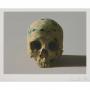 August Modern & Contemporary Art Sale