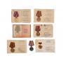 No Reserve Estate Antique Auction