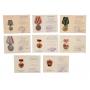 No Reserve Antique Auction