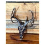 Hydro Dipped White Tail Deer Euro Mount