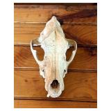 BEar Euro Mount
