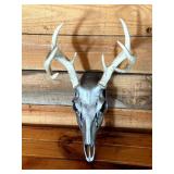 Hydro Dipped White Tail Deer Euro Mount
