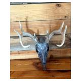 Hydro Dipped White Tail Deer Euro Mount