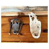 Aligator Euro Mounts