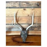 Hydro Dipped White Tail Deer Euro Mount