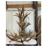 Rustic Antler Chandelier