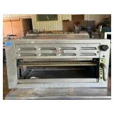 Vulcan Salamander Broiler