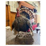 Strutting Tom Turkey Full Body Taxidermy Mount