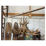 Rustic Antler Chandelier