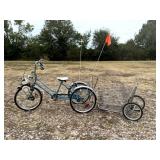 Custom Adult Tricycle with Rear attached buggy