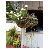 Lot of Hanging Basket Planters and Potted Plant