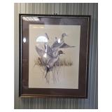 Framed Duck Wall Art by Charles Murphy