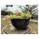Cast Iron Kettle Planter