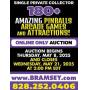 Pinball & Arcade Auction Johnson City, TN Area