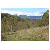 Morgan Branch Road Weaverville, NC