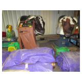 Galaxy Bucking Bulls x 2 by Galaxy