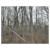 Rutherford Cty. Real Estate Approx. 6 Acres