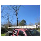 WERNER ALUMINUM EXTENDABLE LADDER