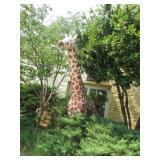 MEDIUM GIRAFFE