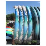 KAYAKS PERCEPTION TRIBE