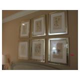 6 Botanical Hand Colored Engravings, Framed Sepera