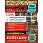 Ballocity Soft Play Auction