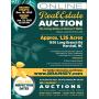 Marshall NC Real Estate Auction