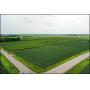 PRIME MULTI PARCEL RENVILLE CO. FARM LAND AUCTION FOR THE BEN & STELLA ZOLLNER ESTATE & ZOLLNER FAMI