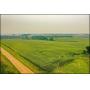 MARVIN THIELKE ESTATE 39.6 ACRES OF KANDIYOHI CO. FARM LAND AUCTION