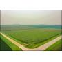 HARVEY SUNVOLD ESTATE PRIME KANDIYOHI CO. FARM LAND AUCTION