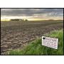 MILTON H. KLAMMER TRUST LAND AUCTION