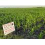 MATSON FAMILY FARM LAND AUCTION