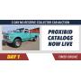 NO RESERVE COLLECTOR CAR & MEMORABILIA AUCTION - DAY 1