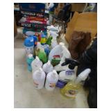 BODY CARE ITEMS & HOME CLEANING ITEMS