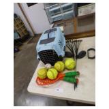SMALL PET TAXI AND DOG BALLS