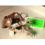 Online Vintage Cowboy Collectibles - Chaps, Spurs, Bits, Saddles