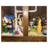 Chemicals under Sink  (kitchen)
