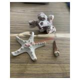 collection of natural marine specimens(Dinning