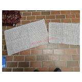 Bathroom rugs - entry way